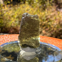 Moldavite 1.8 grams #2244-Moldavite Life