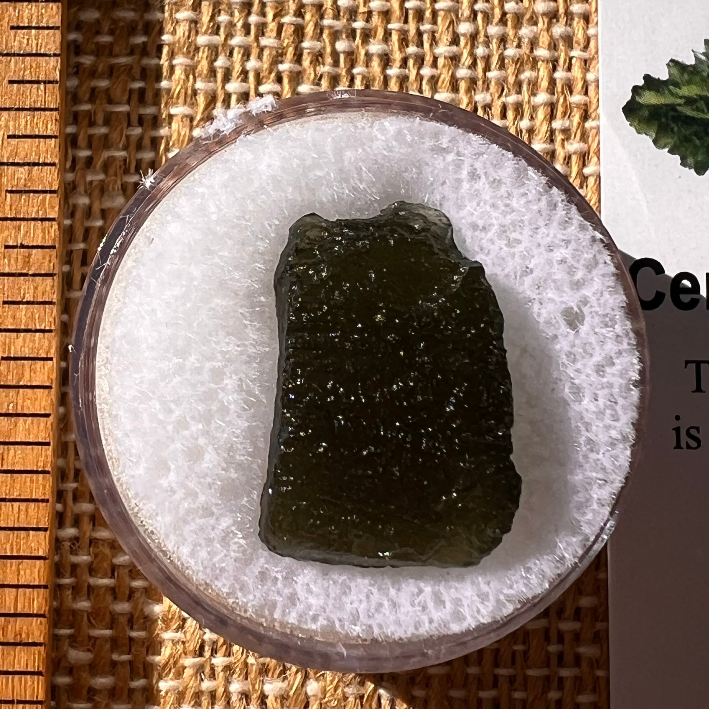 Moldavite 1.8 grams #2244-Moldavite Life