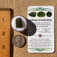 Moldavite 1.8 grams #2244-Moldavite Life