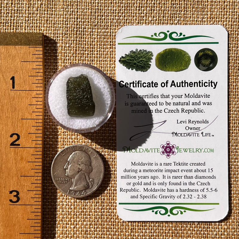 Moldavite 1.8 grams #2244-Moldavite Life