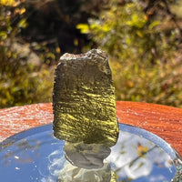 Moldavite 1.8 grams #2244-Moldavite Life