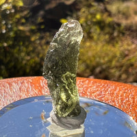 Moldavite 1.8 grams #2277-Moldavite Life