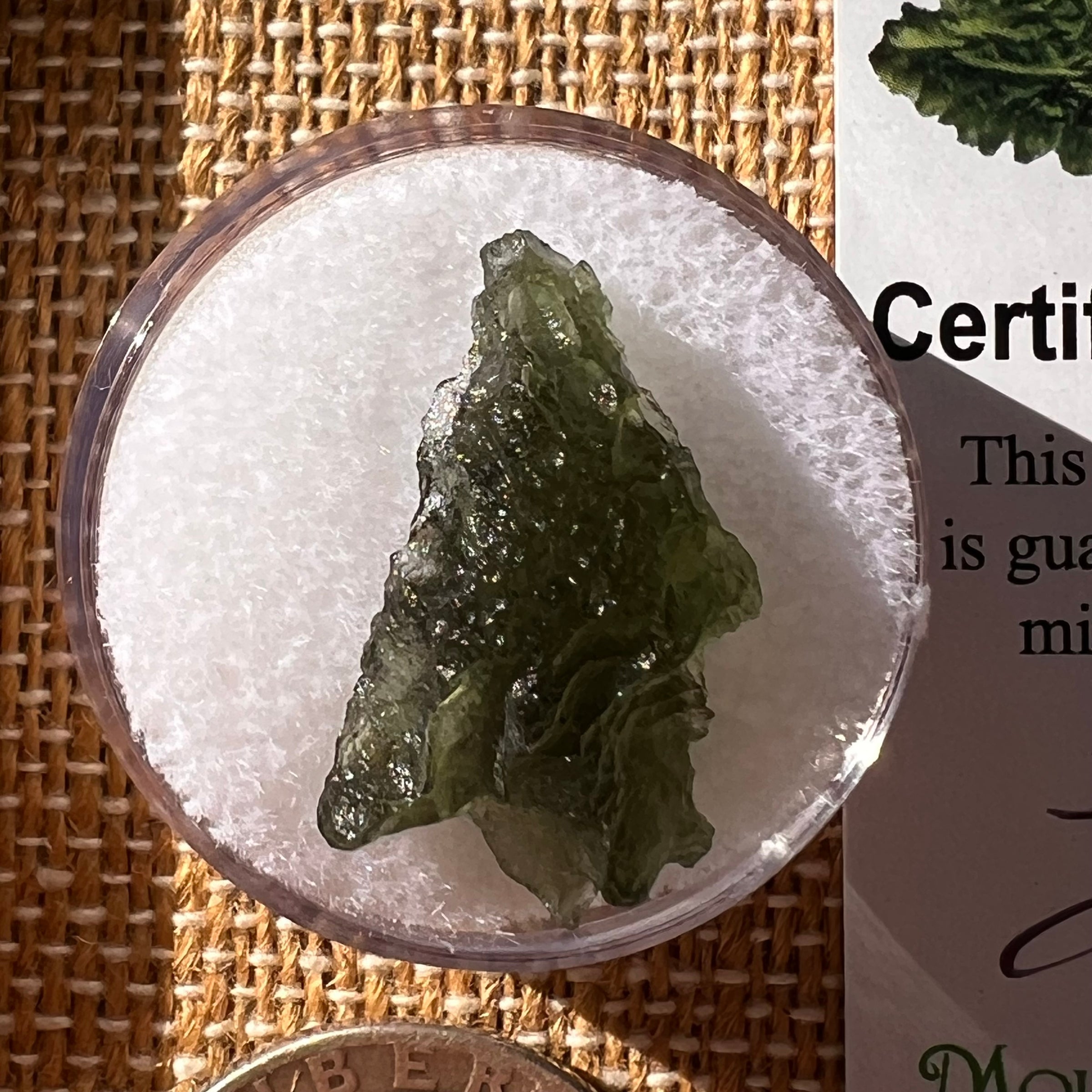 Moldavite 1.8 grams #2277-Moldavite Life