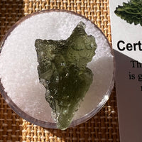 Moldavite 1.8 grams #2277-Moldavite Life