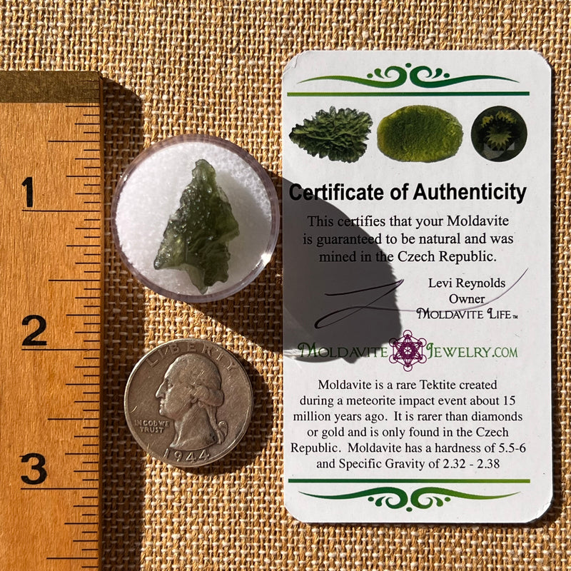 Moldavite 1.8 grams #2277-Moldavite Life