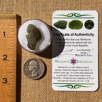 Moldavite 1.8 grams #2320-Moldavite Life