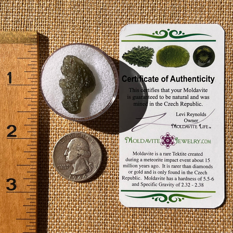 Moldavite 1.8 grams #2320-Moldavite Life