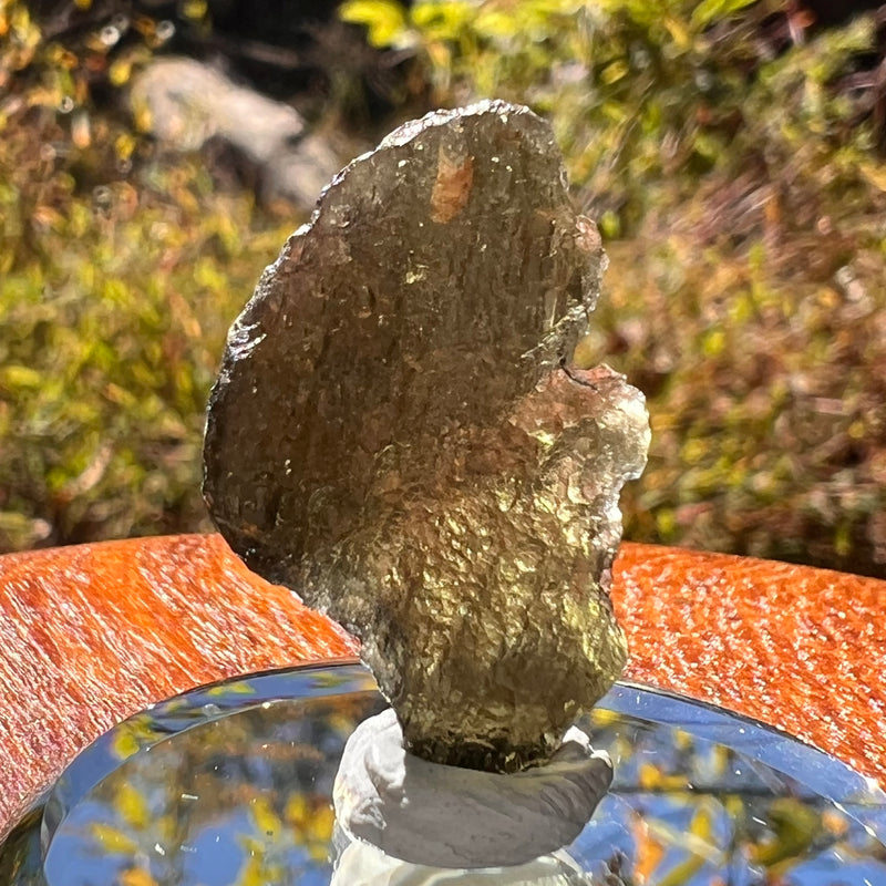 Moldavite 1.8 grams #2320-Moldavite Life