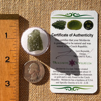 Moldavite 1.8 grams Natural Hole #2306-Moldavite Life