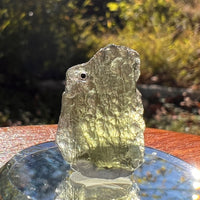 Moldavite 1.8 grams Natural Hole #2306-Moldavite Life