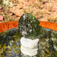 Moldavite 1.9 grams #1724-Moldavite Life