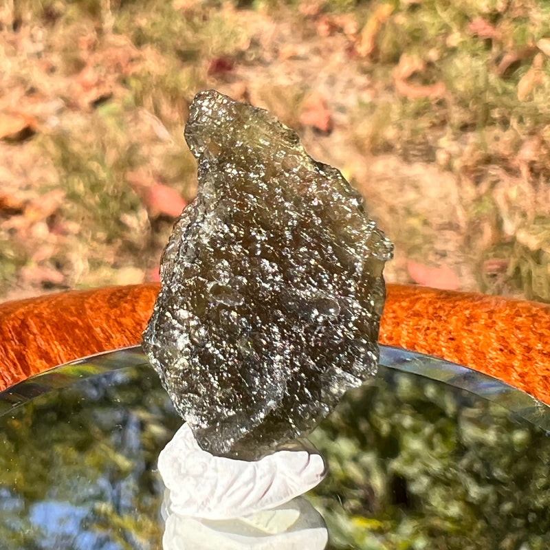 Moldavite 1.9 grams #1738-Moldavite Life