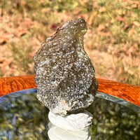 Moldavite 1.9 grams #1738-Moldavite Life