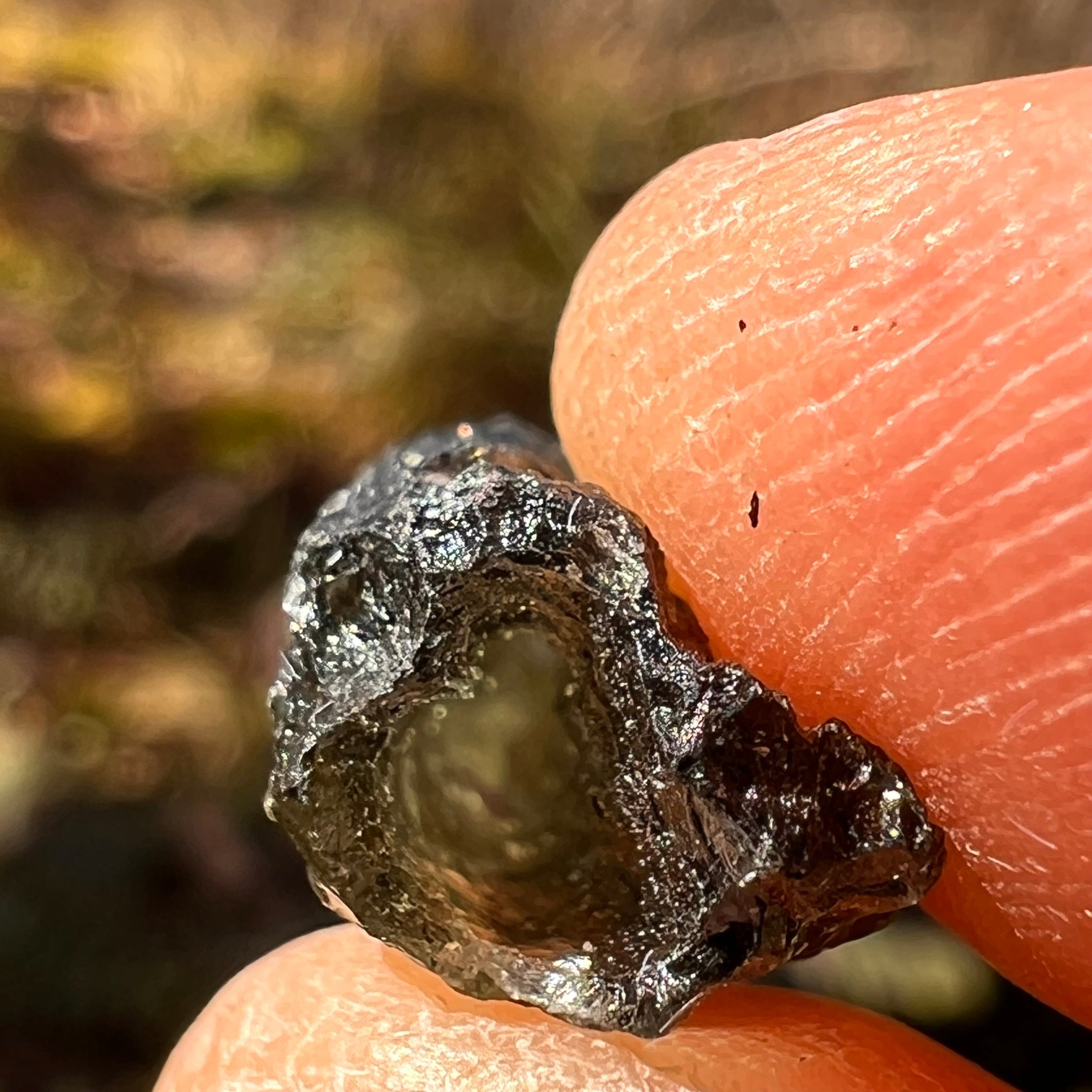 Moldavite 1.9 grams #1767-Moldavite Life