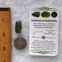 Moldavite 1.9 grams #1767-Moldavite Life