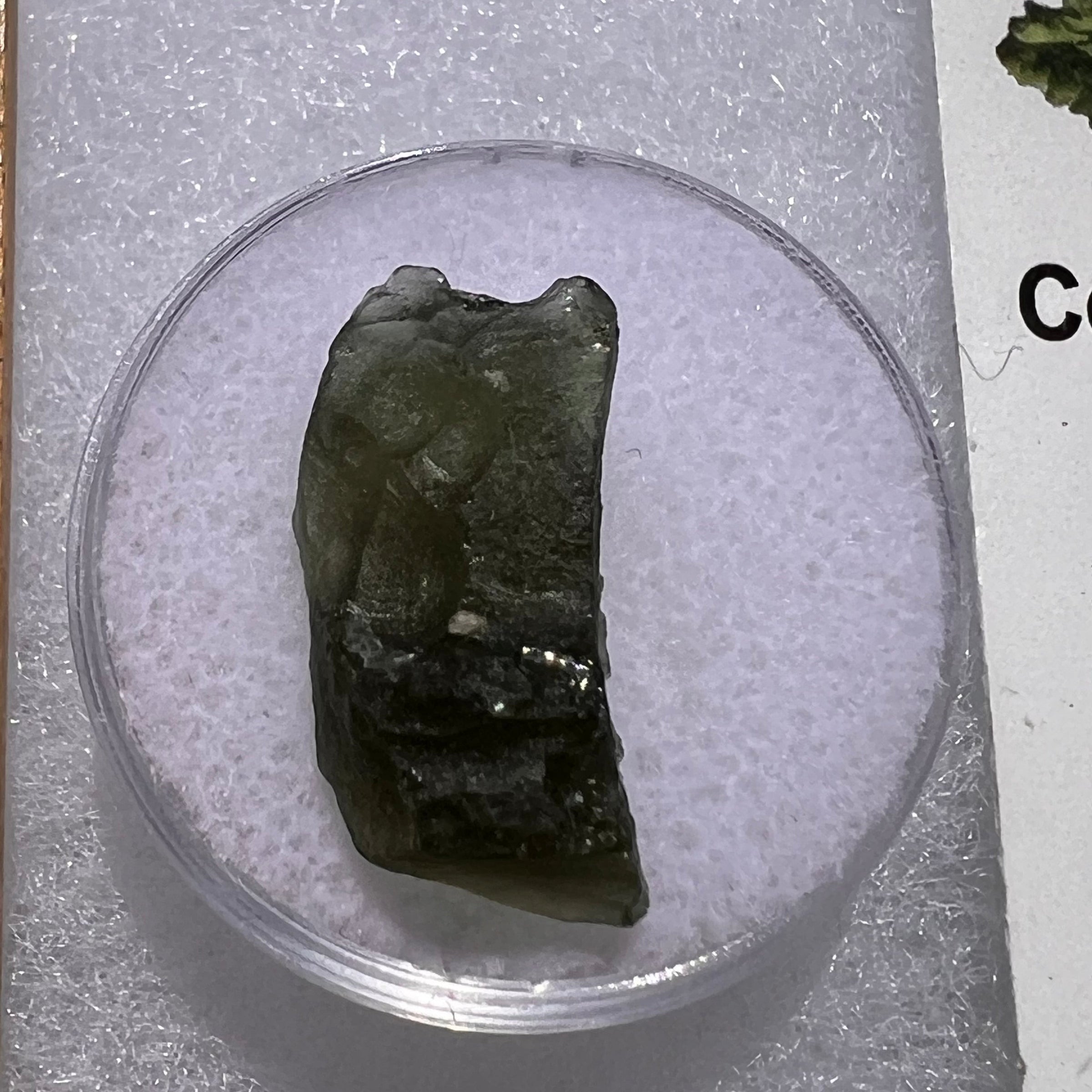 Moldavite 1.9 grams #1852-Moldavite Life