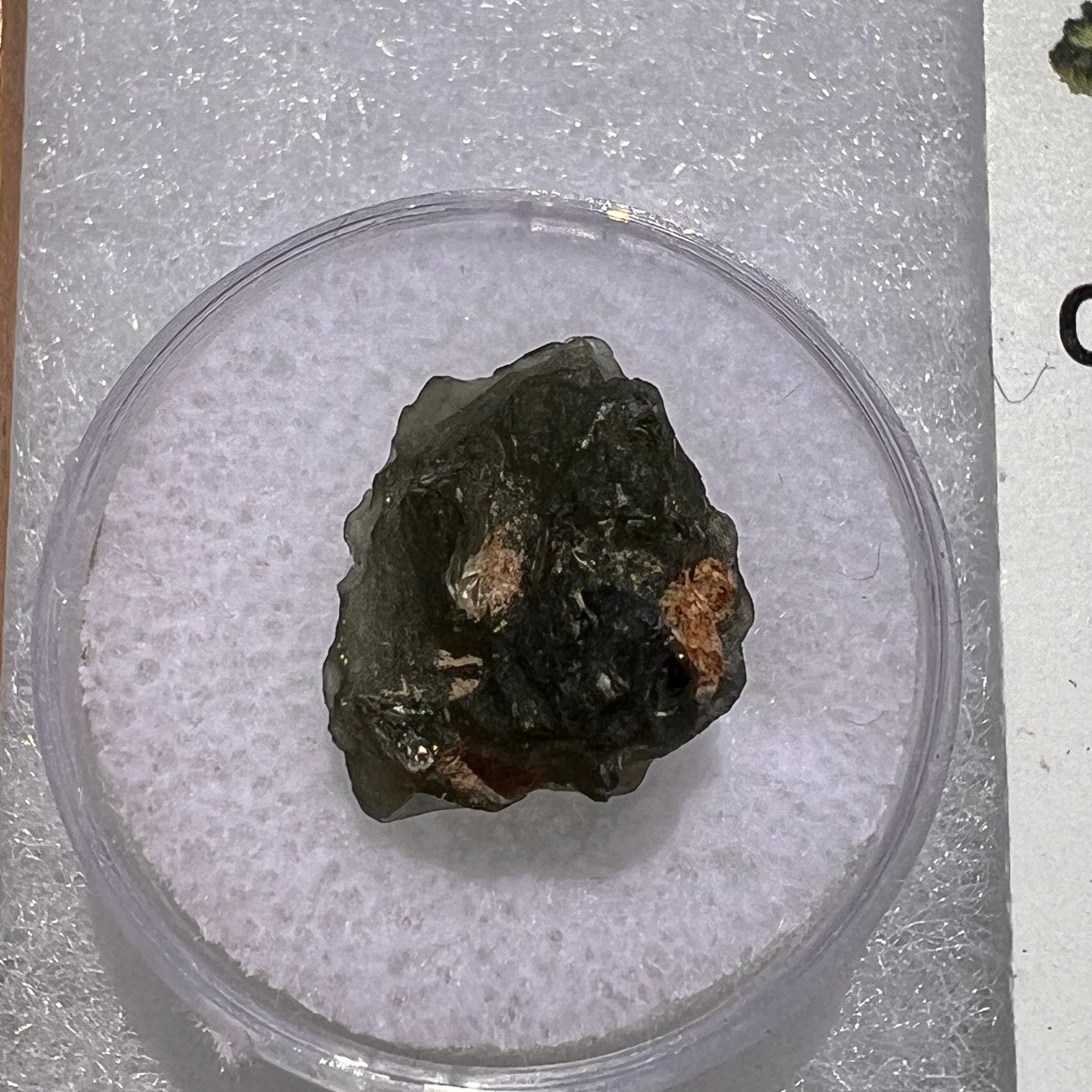 Moldavite 1.9 grams #1861-Moldavite Life