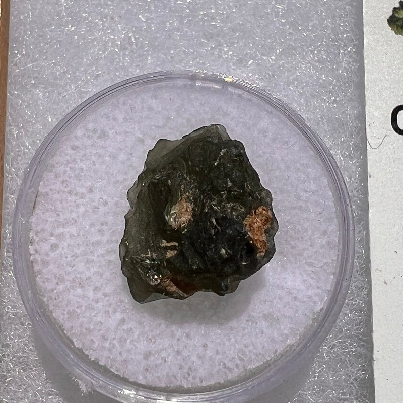 Moldavite 1.9 grams #1861-Moldavite Life