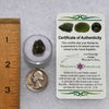 Moldavite 1.9 grams #1861-Moldavite Life