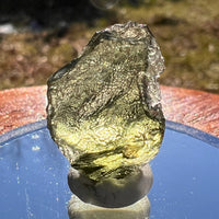 Moldavite 1.9 grams #1967-Moldavite Life