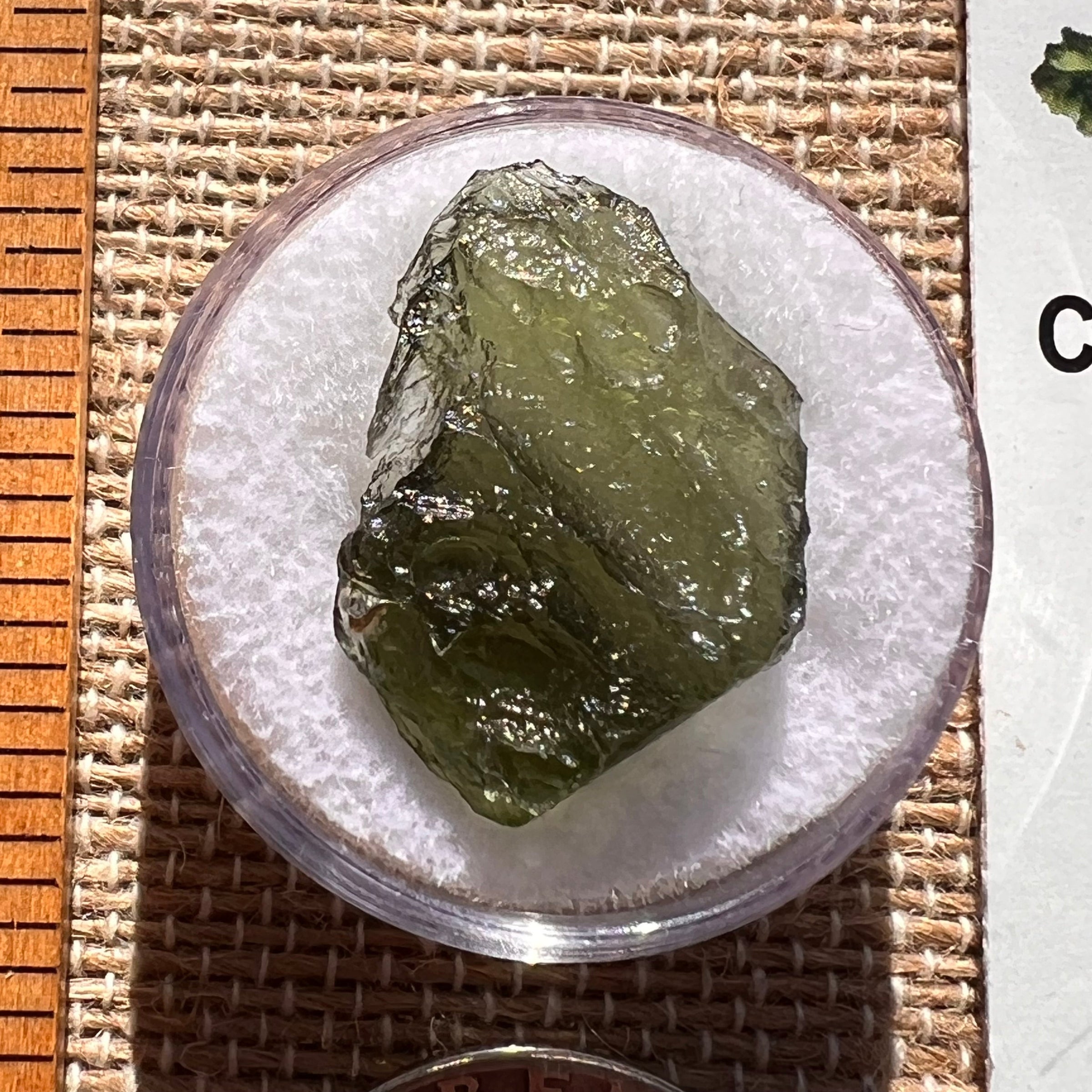 Moldavite 1.9 grams #1967-Moldavite Life