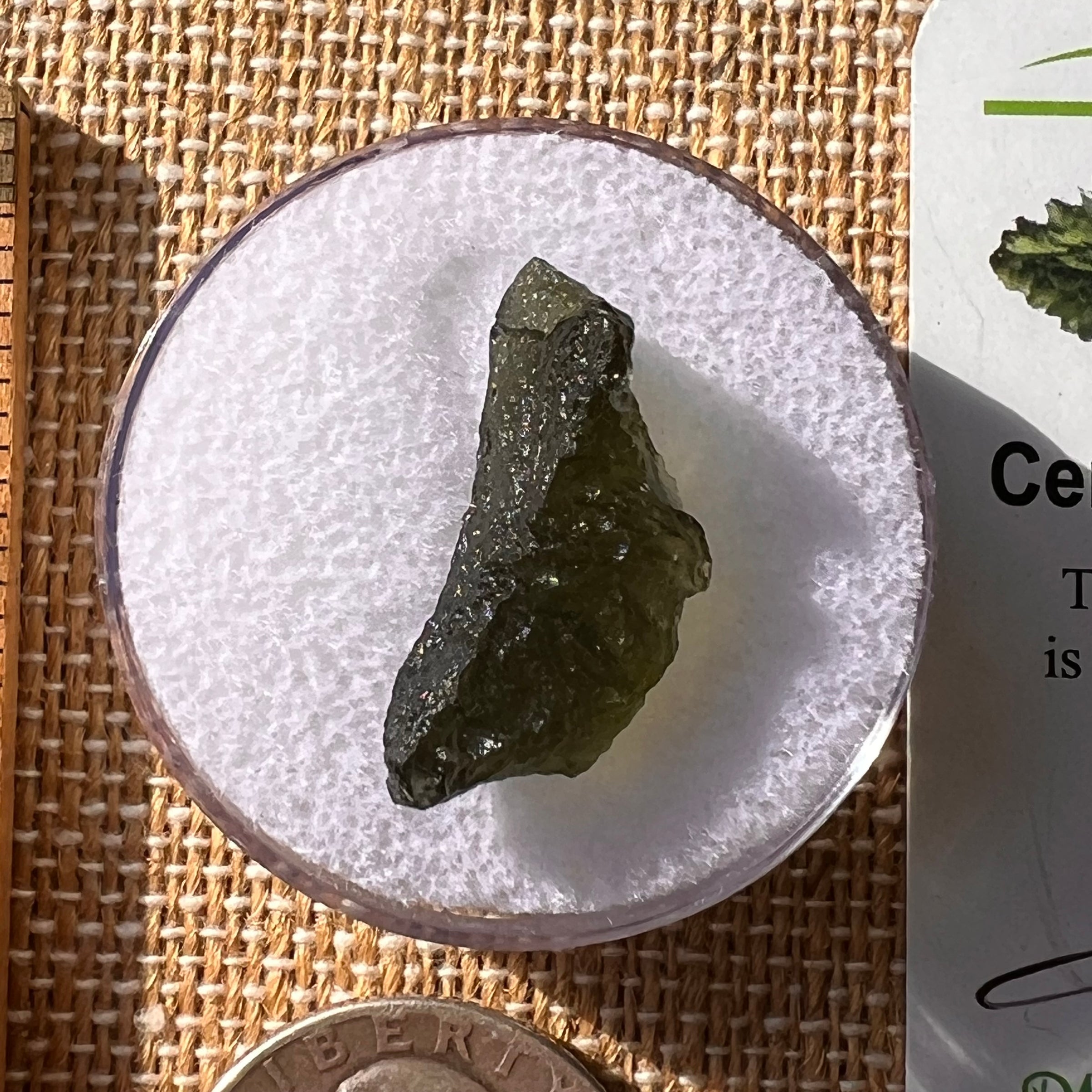 Moldavite 1.9 grams #2139-Moldavite Life
