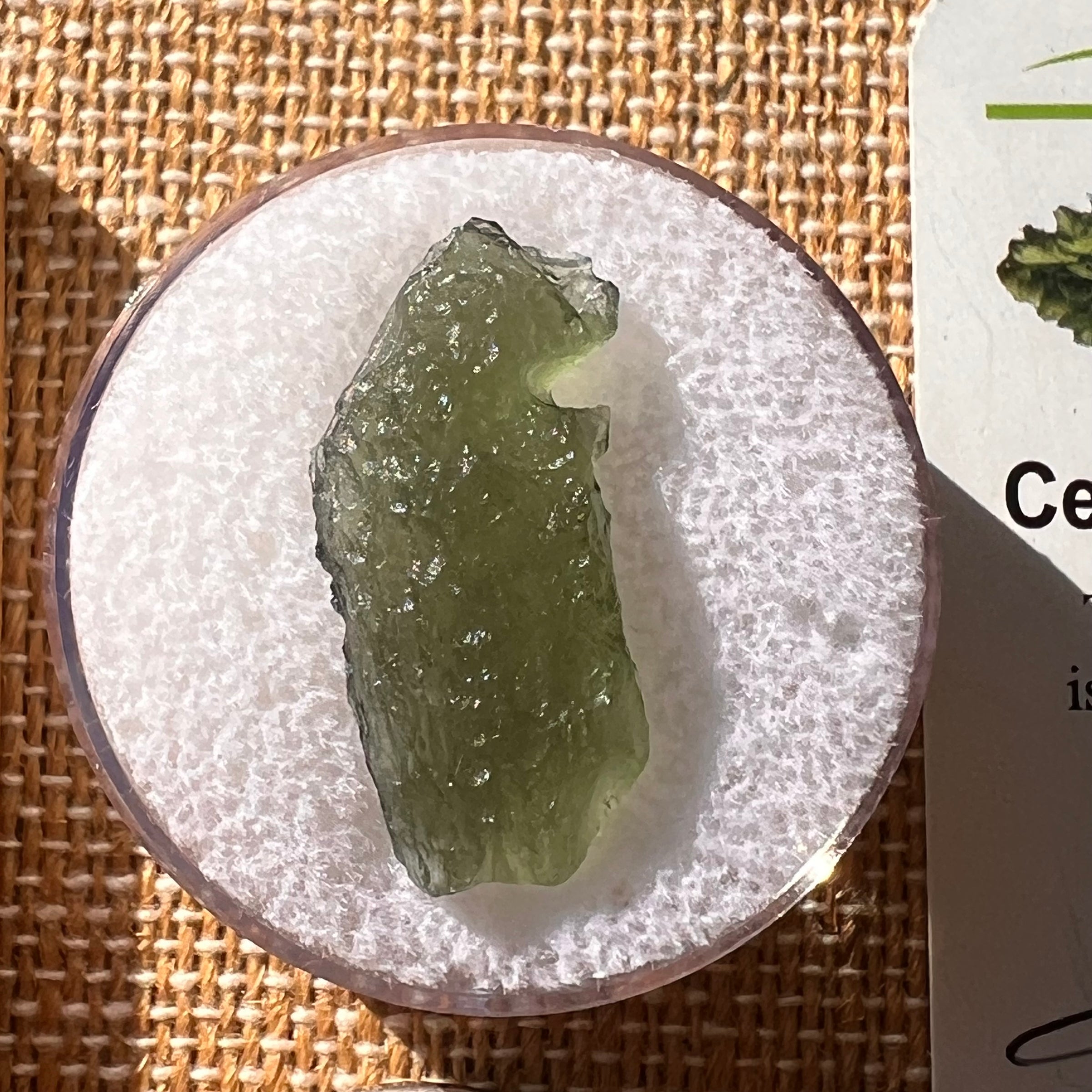 Moldavite 1.9 grams #2151-Moldavite Life