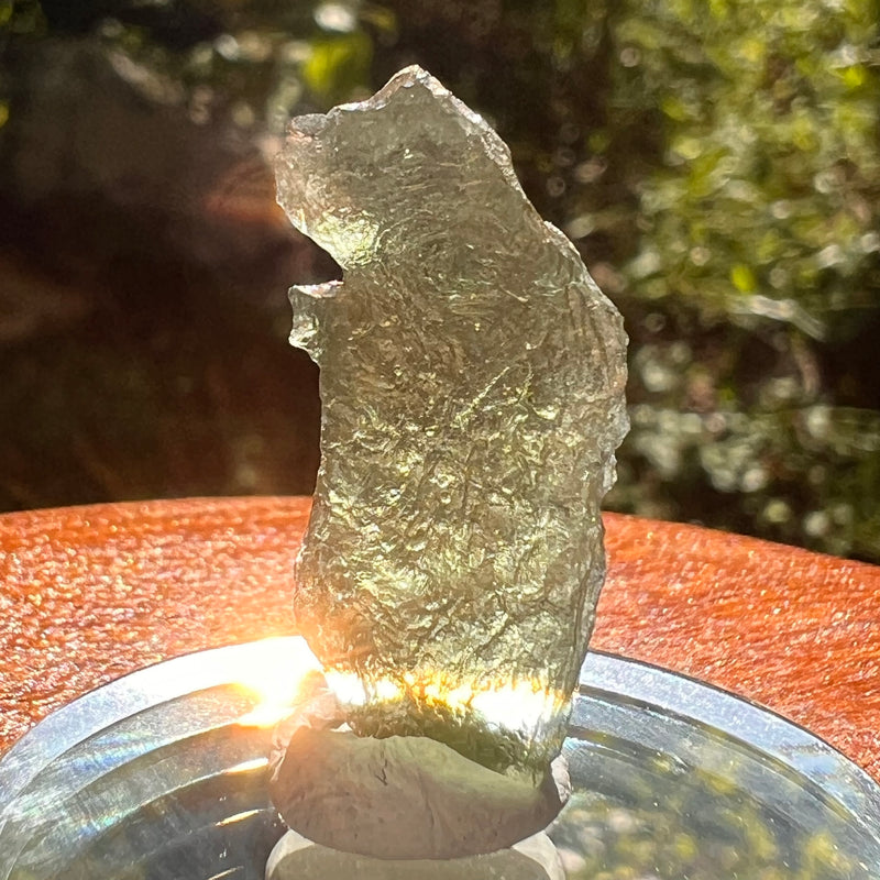 Moldavite 1.9 grams #2151-Moldavite Life