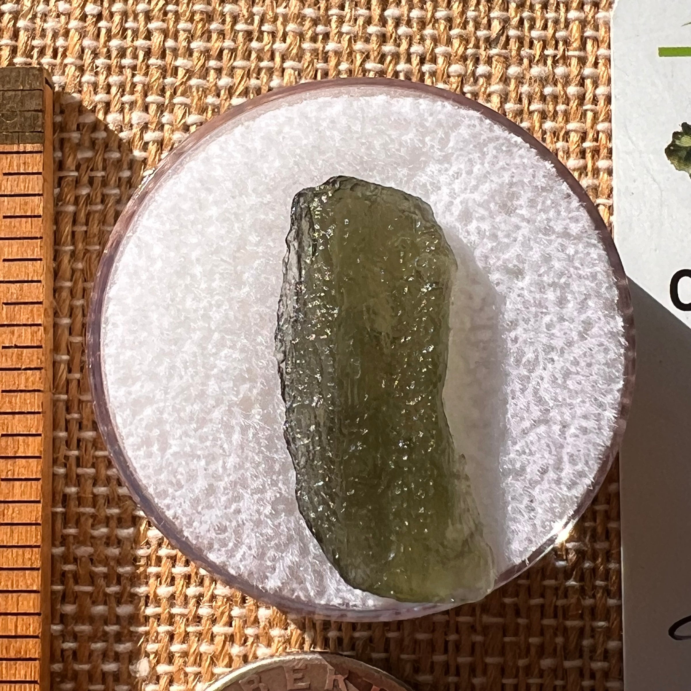 Moldavite 1.9 grams #2152-Moldavite Life