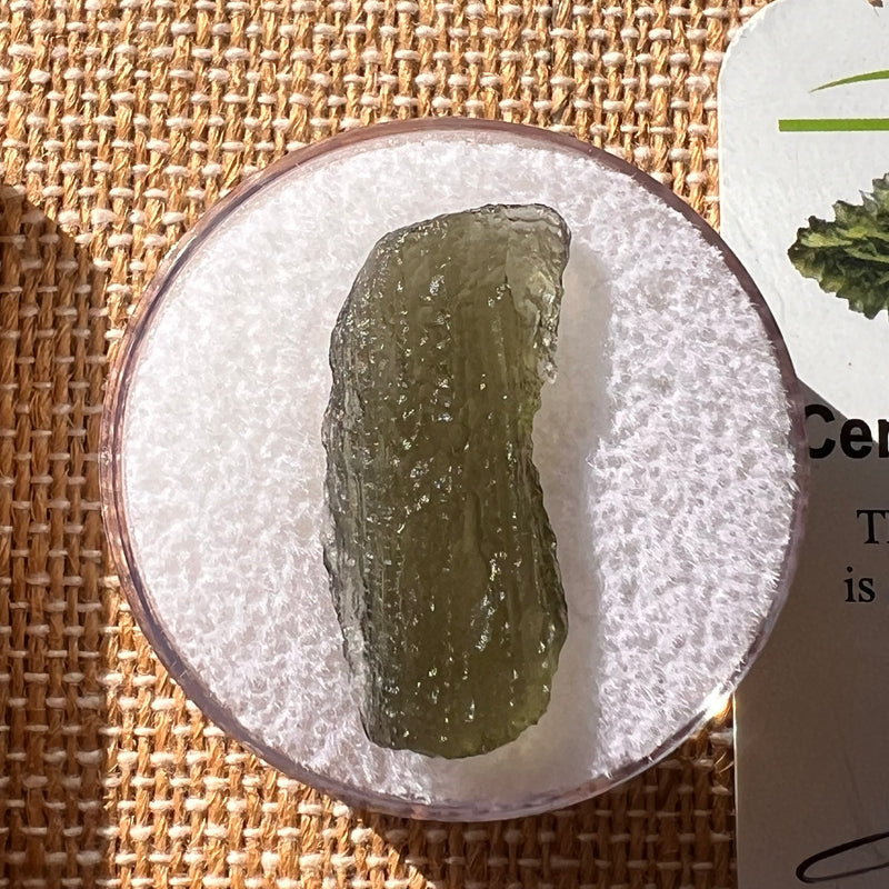 Moldavite 1.9 grams #2152-Moldavite Life