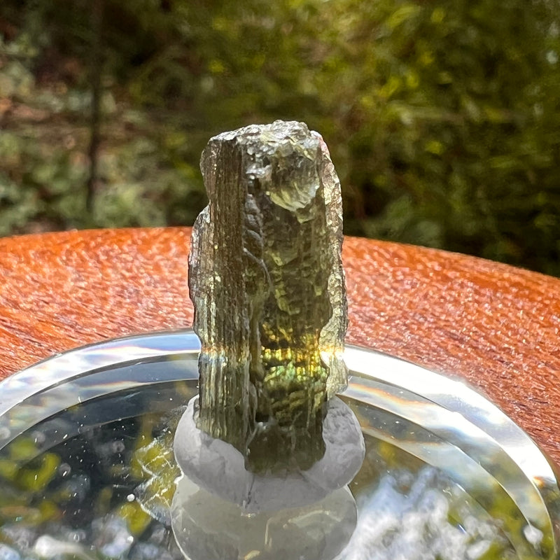 Moldavite 1.9 grams #2166-Moldavite Life