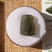 Moldavite 1.9 grams #2166-Moldavite Life