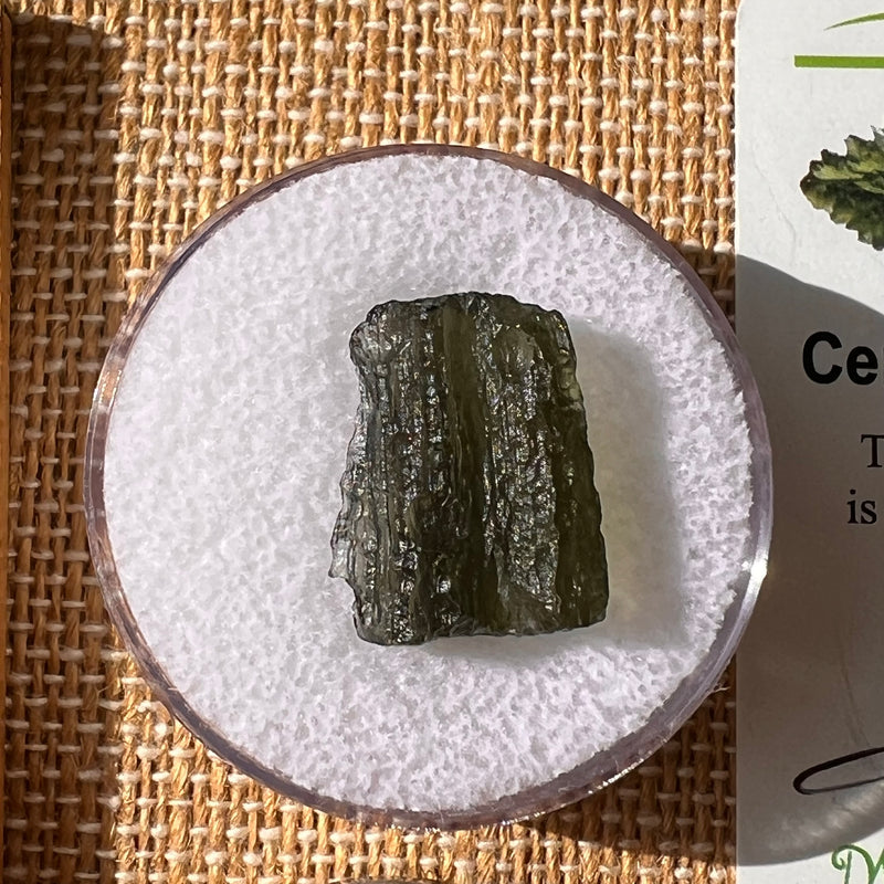 Moldavite 1.9 grams #2166-Moldavite Life