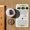 Moldavite 1.9 grams #2166-Moldavite Life
