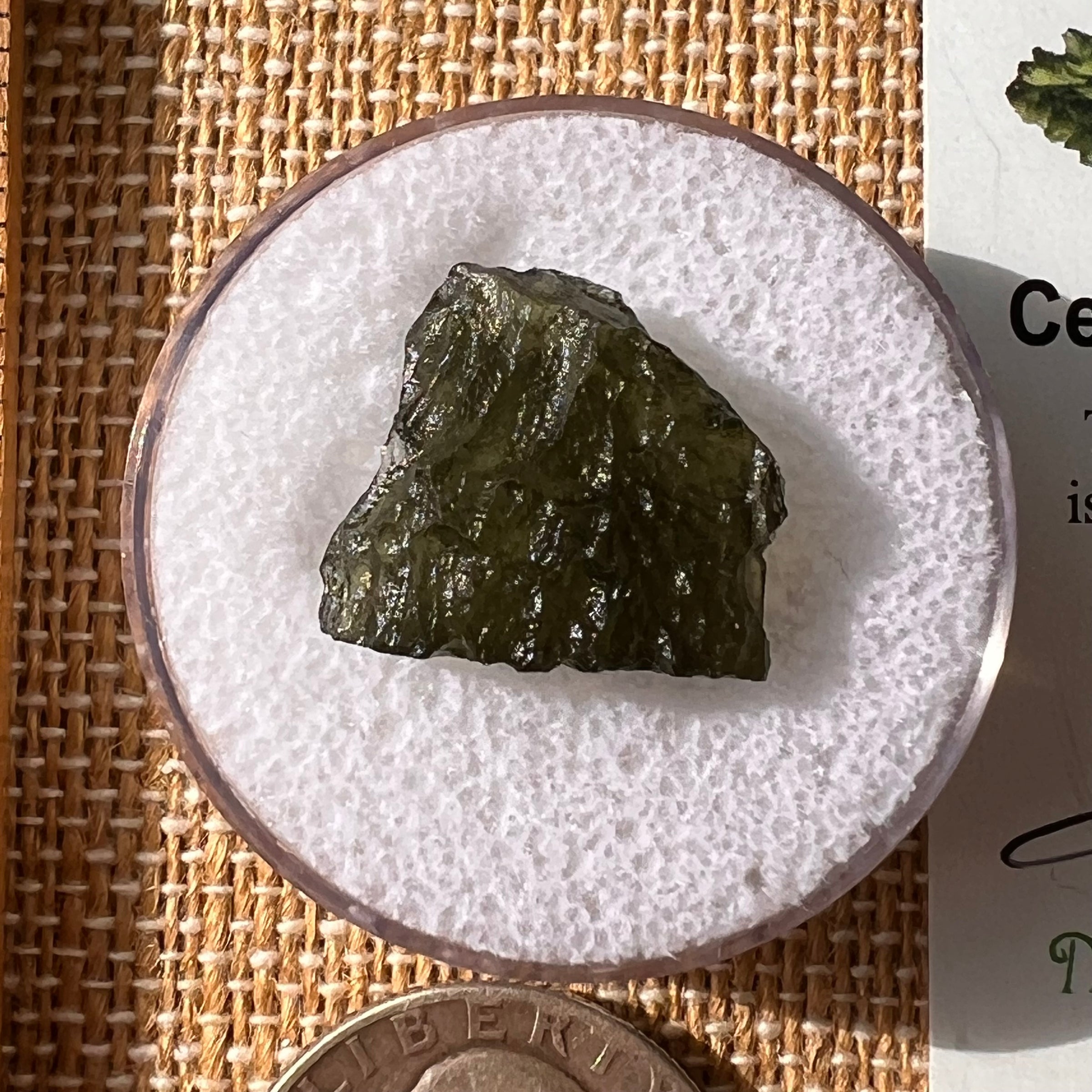 Moldavite 1.9 grams #2168-Moldavite Life
