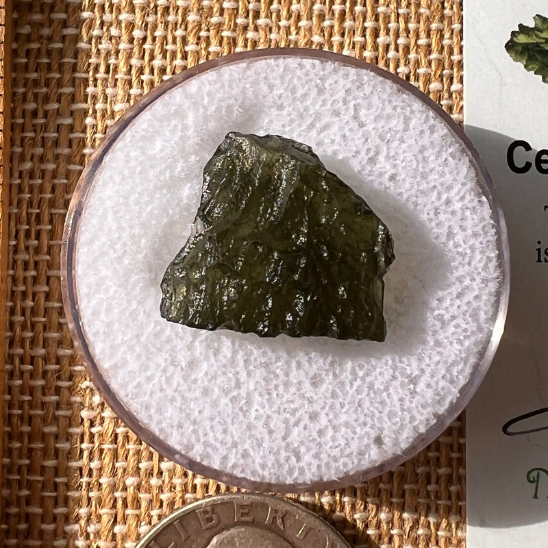 Moldavite 1.9 grams #2168-Moldavite Life