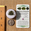 Moldavite 1.9 grams #2168-Moldavite Life