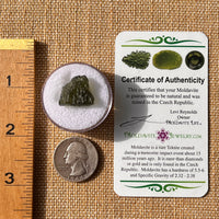 Moldavite 1.9 grams #2168-Moldavite Life