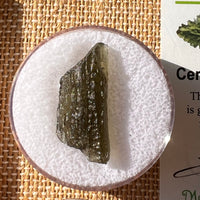 Moldavite 1.9 grams #2178-Moldavite Life