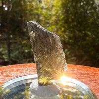 Moldavite 1.9 grams #2178-Moldavite Life