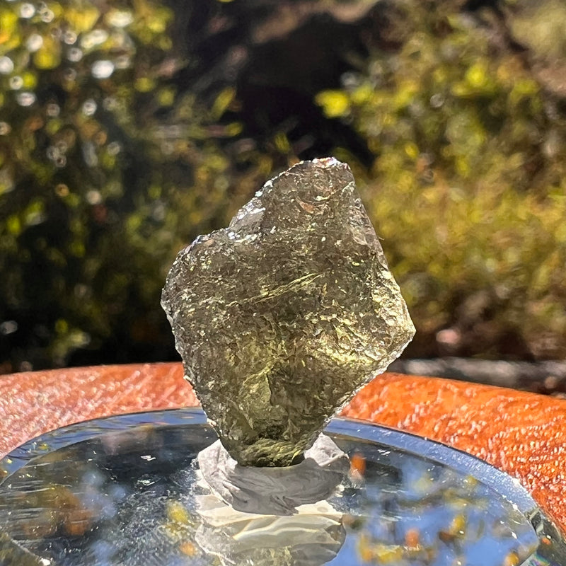 Moldavite 1.9 grams #2276-Moldavite Life