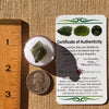Moldavite 1.9 grams #2276-Moldavite Life