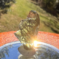 Moldavite 1.9 grams #2373-Moldavite Life