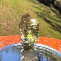 Moldavite 1.9 grams #2373-Moldavite Life