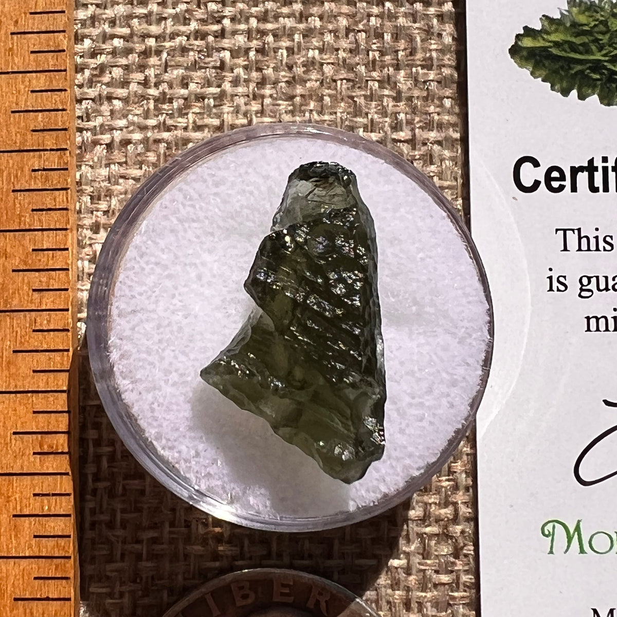 Moldavite 1.9 grams #2373-Moldavite Life