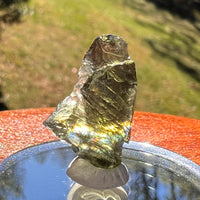 Moldavite 1.9 grams #2373-Moldavite Life