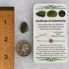 Moldavite 2 grams #1693-Moldavite Life