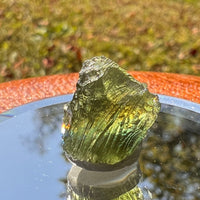 Moldavite 2 grams #1729-Moldavite Life