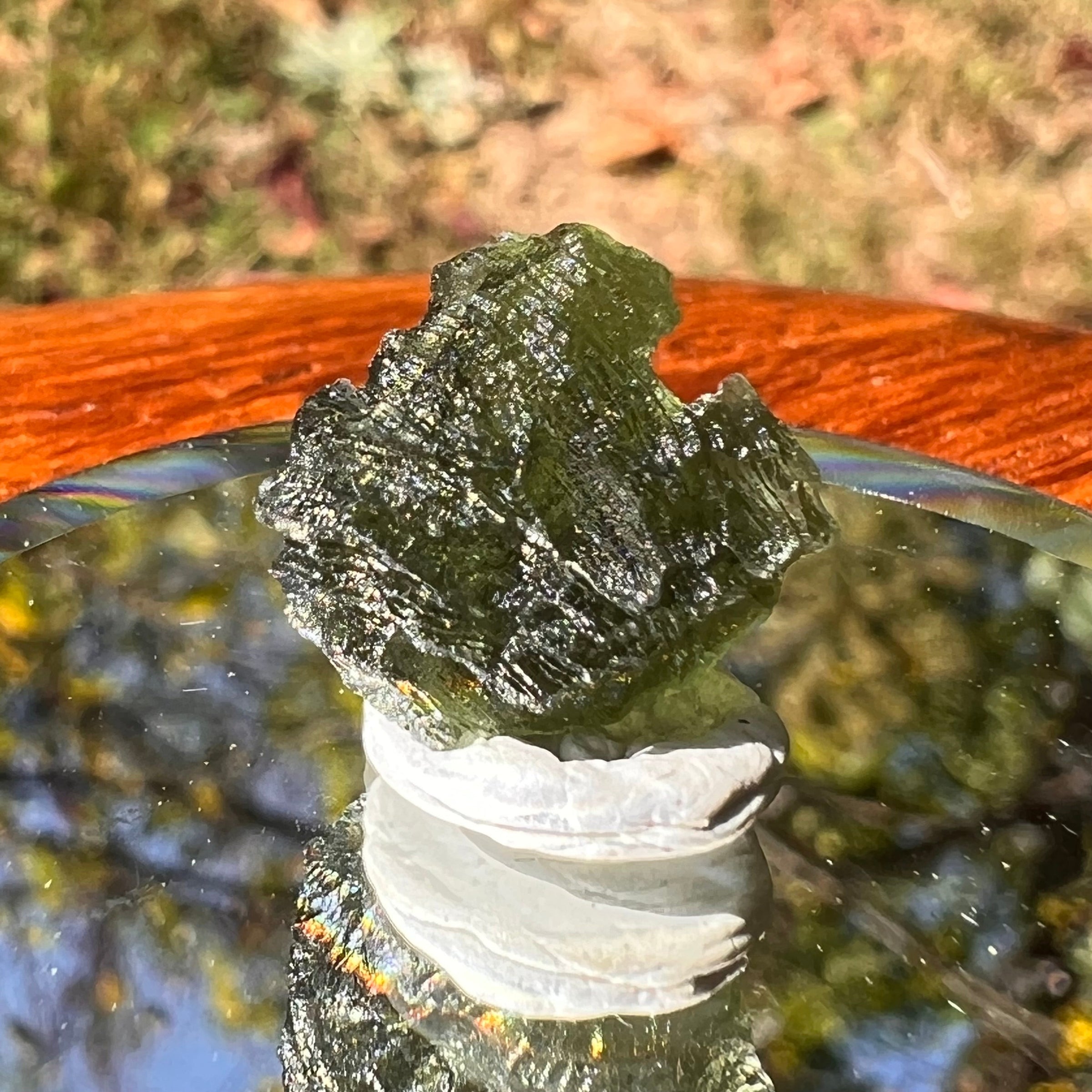 Moldavite 2 grams #1729-Moldavite Life