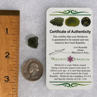 Moldavite 2 grams #1729-Moldavite Life